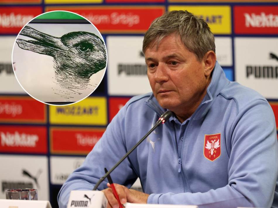 (VIDEO) OVAJ SNIMAK SVI KOMENTARIŠU Šta ste prvo vidjeli i kakve veze imaju patka i zec sa Piksijem i Srbijom?