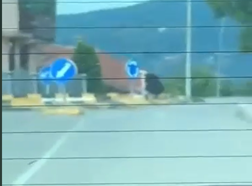 (VIDEO) JOŠ JEDNA URNEBESNA SCENA NA KRUŽNOM U BANJALUCI Žena odlučila da se "počasti", vozači u čudu