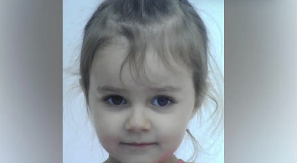 "BACIO JU JE U KOLA I ODVEZAO" Djevojčicu (3) oteo majci iz naručja i pobjegao