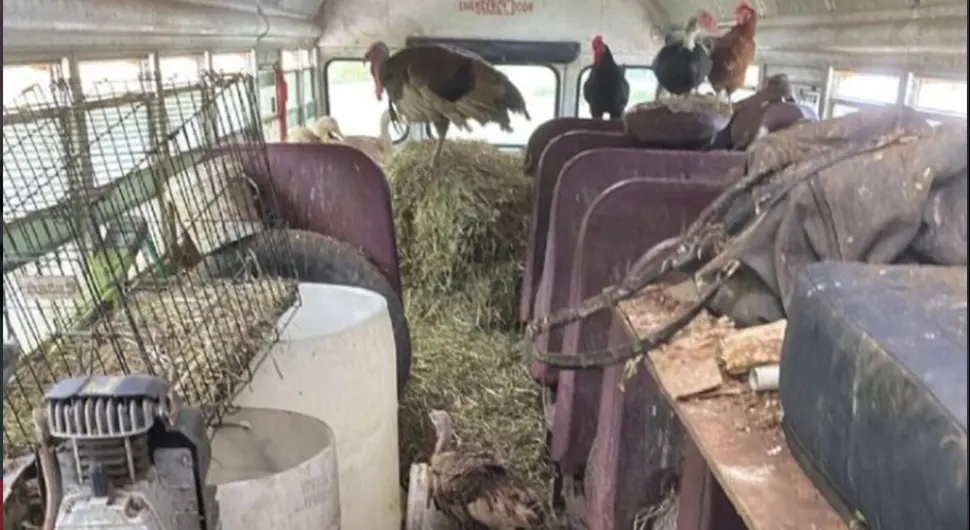 JEZIV SLUČAJ! Policija zaustavila autobus pun životinja koje su unutra bile zlostavljane