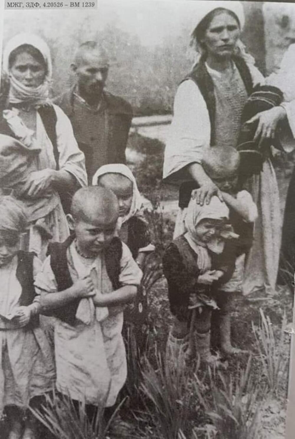 BITKA NA KOZARI OKONČANA 17. JULA 1942. Potresna svjedočenja preživjelih: Majke su skakale u Savu da ne gledaju smrt svoje djece