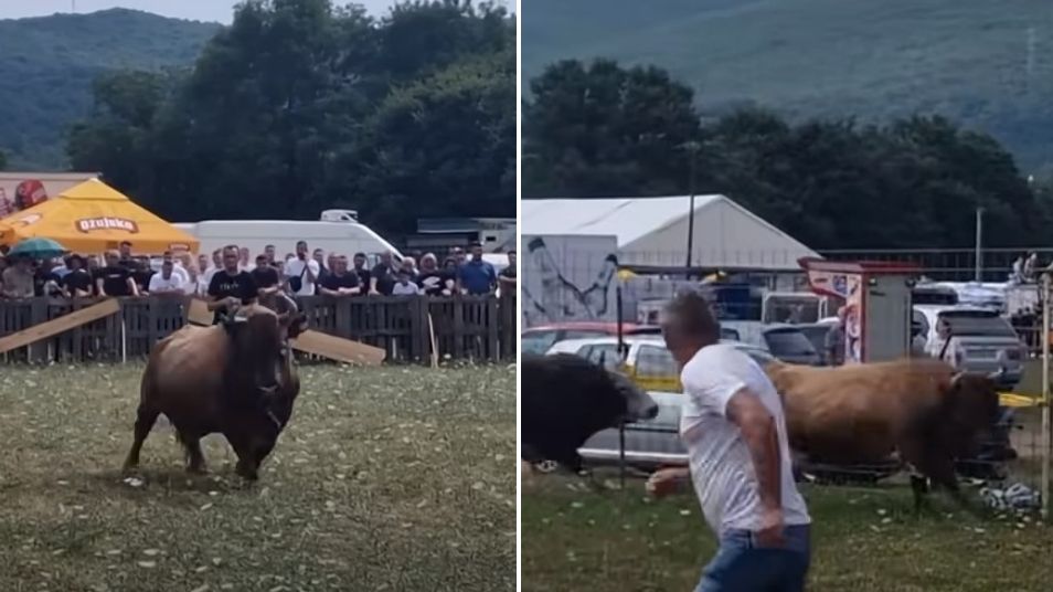 (VIDEO) HAOS U POSUŠJU Tokom borbe bik uletio u publiku, ljudi u panici bježali