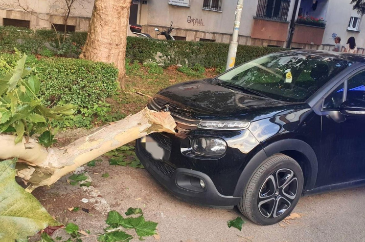 (FOTO) INTERVENCIJA VATROGASACA Pao ogranak zdravog stabla na automobil u Banjaluci