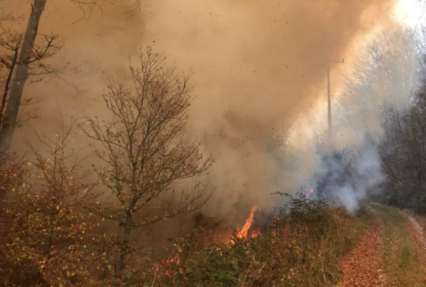 POŽAR NA GOLIJI Gust dim uzdiže se u blizini manastira Gradac