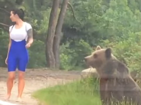 (VIDEO) MEDVJED KRENUO KA SVOJOJ ŽRTVI Djevojka umalo izgubila život: Zar toliko rizikuješ zbog slike sa medvjedom?