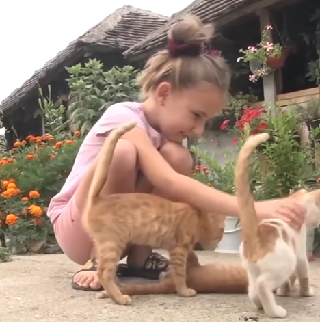 (VIDEO) "KRAVE JE NAJTEŽE ČUVATI, A OVCE NAJLAKŠE" Tamara (10) je jedino dijete u selu, a najbolja drugarica joj je njena baka
