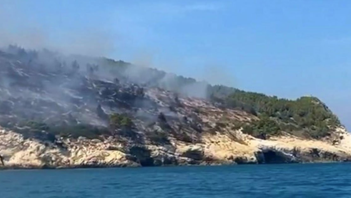 (VIDEO) EVAKUISANO OKO HILJADU TURISTA Veliki šumski požar u Italiji
