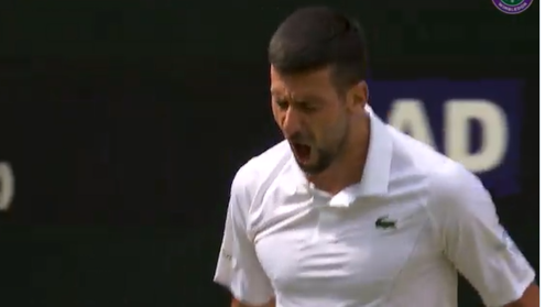 OVO NISMO OČEKIVALI Novak Đoković dobio podršku sa tribina u finalu Vimbldona