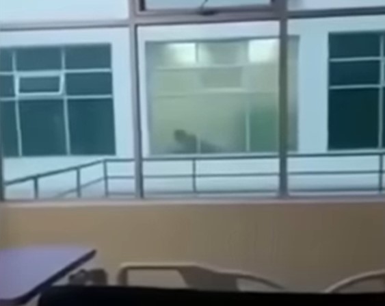 (VIDEO) ZANIJELI SE Pacijenti snimili doktora i medicinsku sestru u vreloj akciji