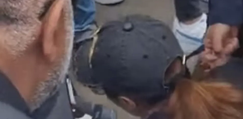 (VIDEO) JEZIV INCIDENT Konj ugrizao ženu u centru grada, zbog bolova izgubila svijest