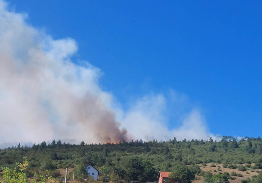 SVE JE PUNO DIMA, VATRA IDE NEKOLIKO METARA U VISINU Požar u Drvaru: Oglasila se načelnica opštine Dušica Runić