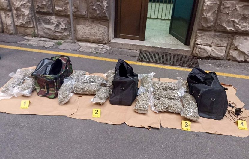 (FOTO) MARIHUANA NA SVE STRANE Ovako izgleda laboratorija u Topoli u koju je upala policija: Pali tokom primopredaje droge
