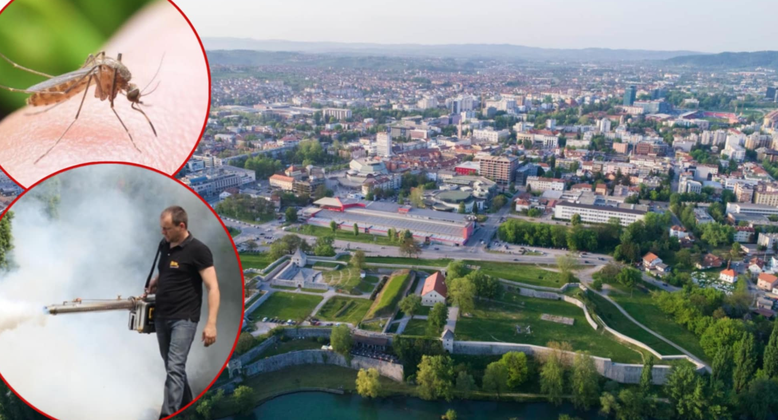 "OD NJIH SE NE MOŽE SE ŽIVJETI" Građani se žale na veliki broj komaraca u Banjaluci