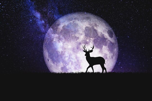 ONI SU MAJSTORI KOMUNIKACIJE 4 znaka zodijaka koja bez napora prenose svoje misli i emocije