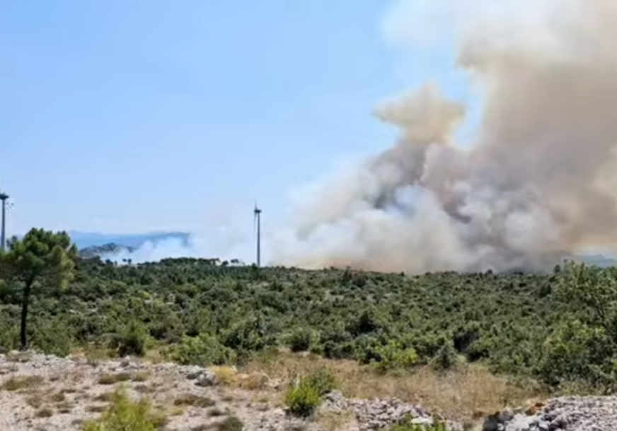 (VIDEO) PELJEŠAC U PLAMENU Vjetar otežava gašenje požara, pristižu i kanaderi