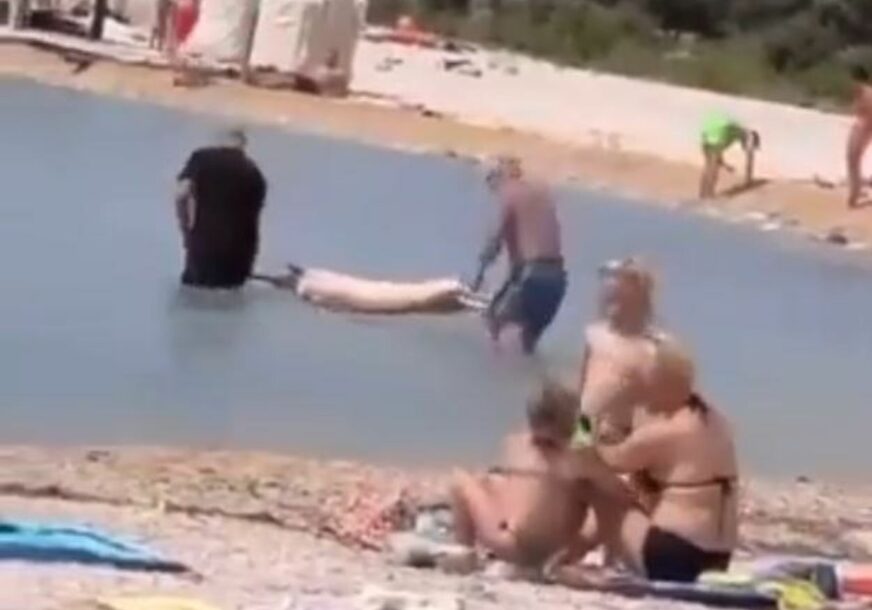 (VIDEO) UNIJELI PRASE U MORE DA GA "OSOLE" Video koji je podijelio ljude na internetu: Jedni su oduševljeni, drugi zgroženi