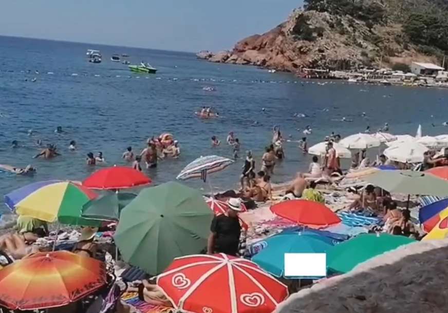 UBODI SVE ČEŠĆI Najezda grinja na Jadranskom moru