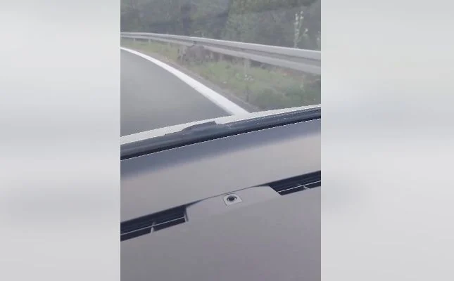 (VIDEO) VOZAČI, BUDITE OPREZNI Divlje svinje snimljene na ulazu na auto-put
