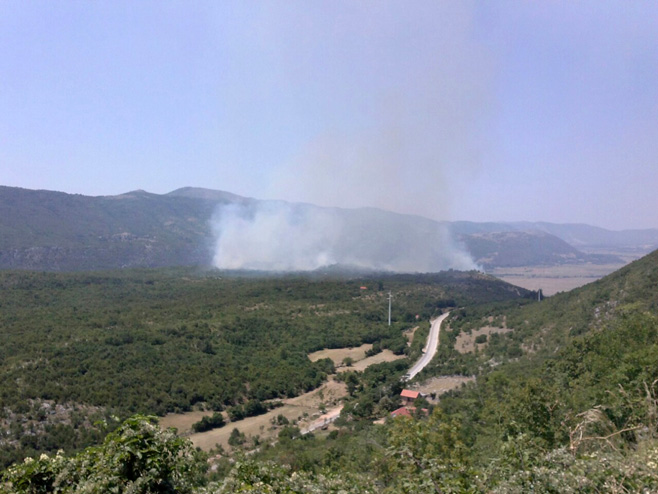 VEĆINA PODMETNUTA Požari u Crnoj Gori pod kontrolom
