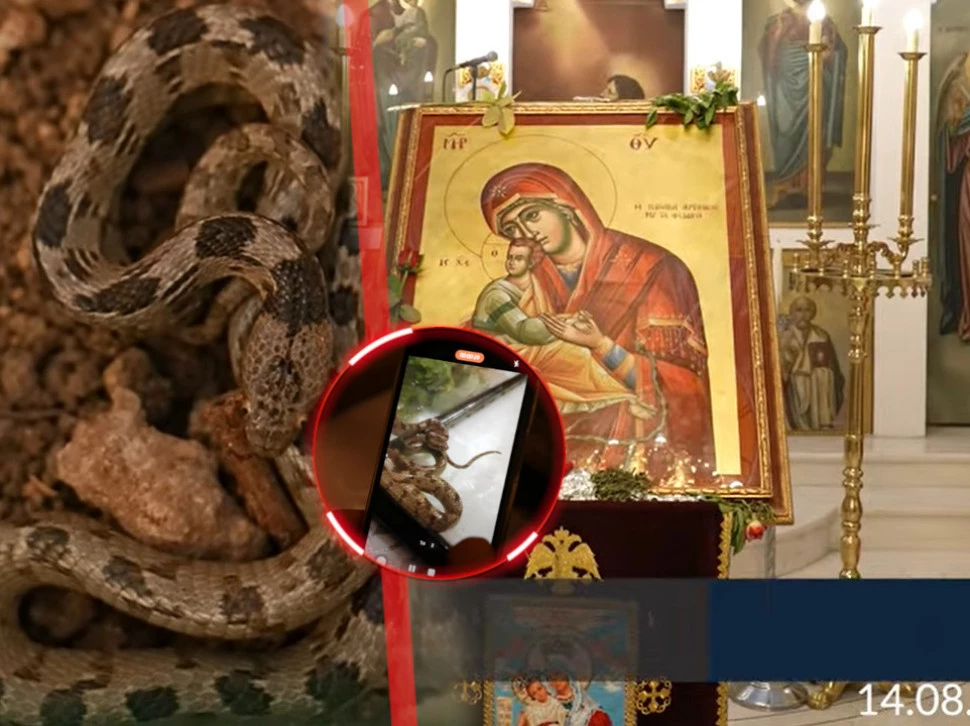 (FOTO/VIDEO) PRIZOR KOJI OSTAVLJA BEZ RIJEČI Zmije preplavile crkvu za Veliku gospojinu