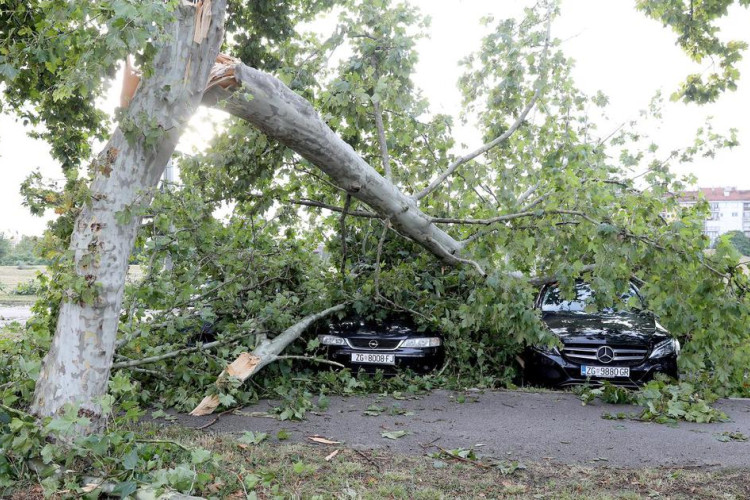 VLASNICI PRIJAVILI ŠTETU Stablo palo i oštetilo automobile u Doboju