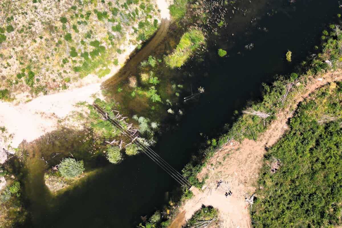 (FOTO) UŽASAVAJUĆI PRIZORI Neretva zavijena u crno: Desetine mrtvih riba i rakova ispod brane