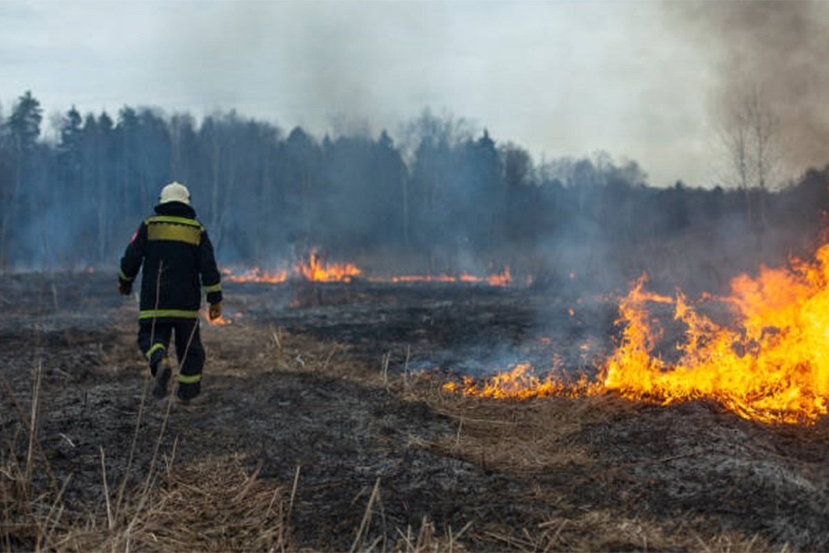 LOKALIZOVAN POŽAR NA VIRU Planuo na otvorenom prostoru