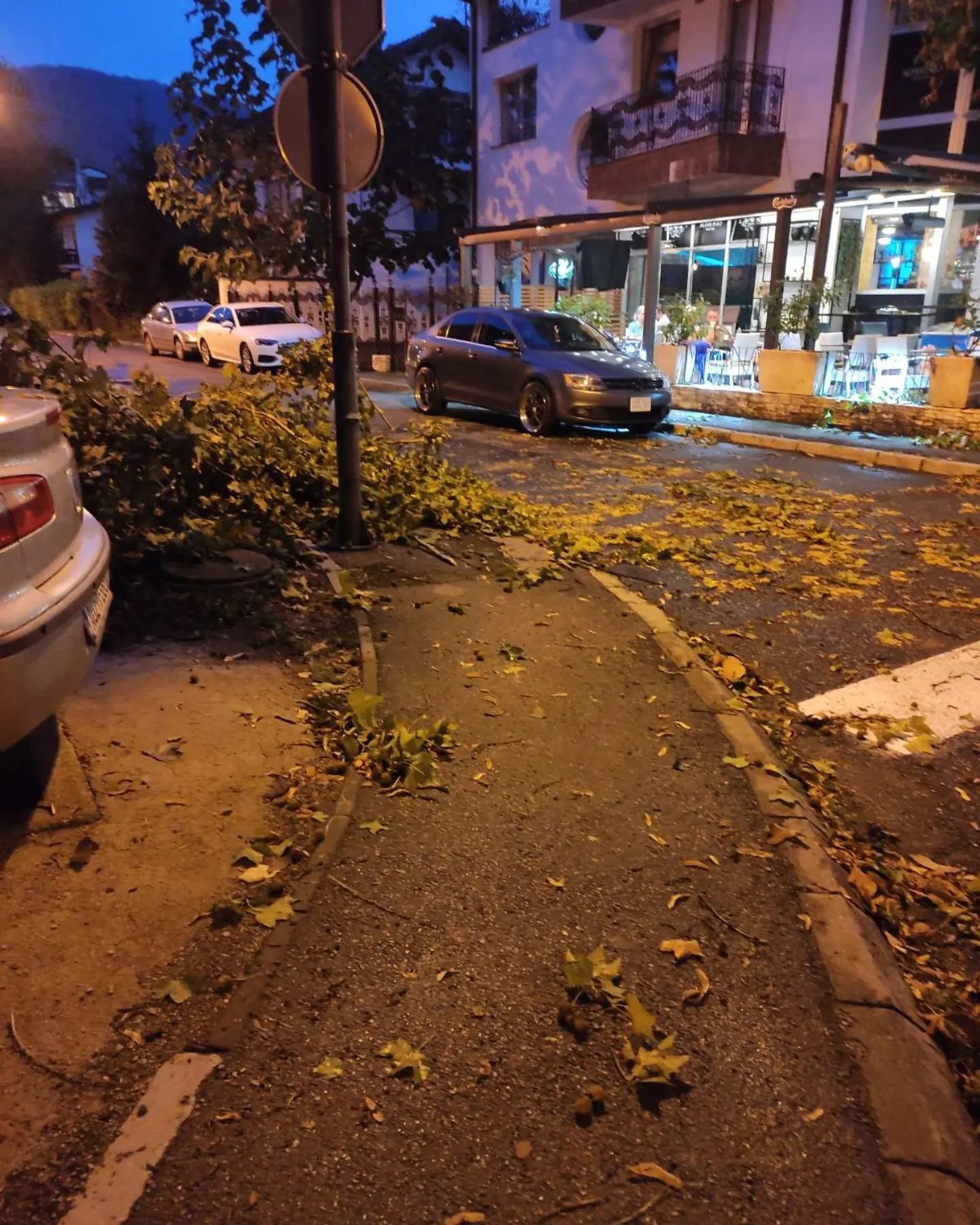 (FOTO) POLOMLJENA BROJNA STABLA Posljedice olujnog nevremena u Banjaluci