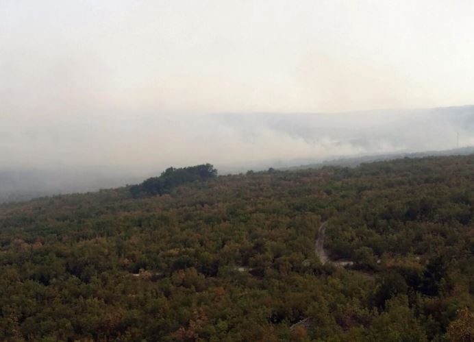 VATROGASCI NA TERENU CIJELO JUTRO Kod bilećkog sela se aktivirao požar