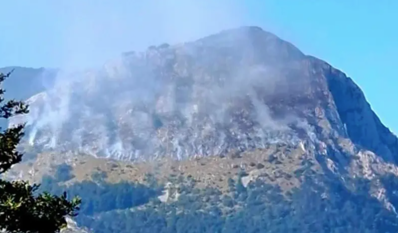 GORI NISKO RASTINJE I TRAVA Požar na Zelengori, helikopter gasi vatru