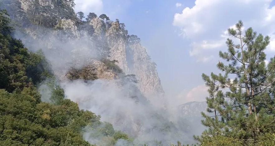 GORI JOŠ NA OBRONCIMA Požar u NP ''Sutjeska'' stabilizovan