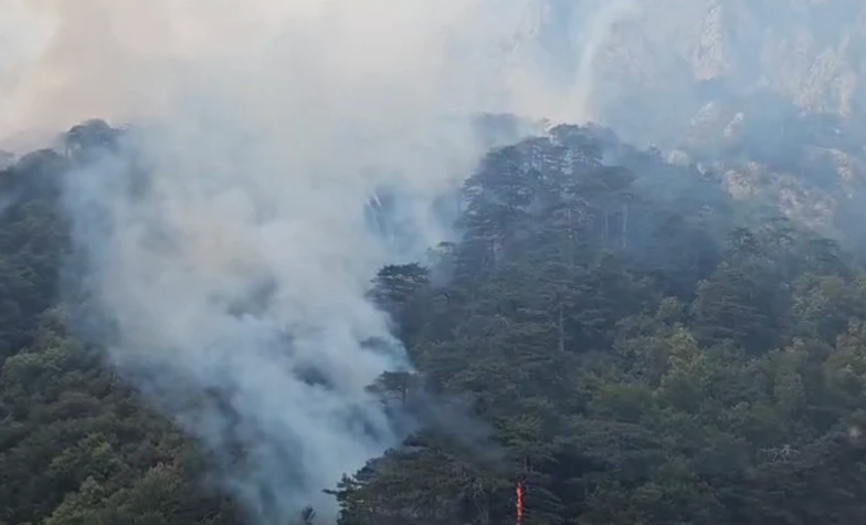 NAJNOVIJE INFORMACIJE SA TERENA Požar na Zelengori sve manji po površini i intenzitetu