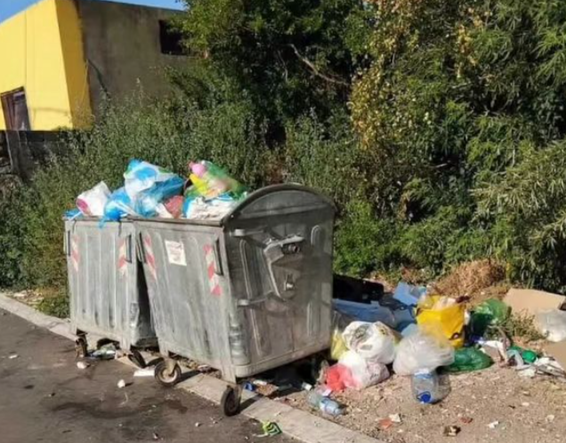 (FOTO) MINIMALNE ŠANSE ZA PREŽIVLJAVANJE Tek rođeni štenci bačeni u vreći pored kontejnera na plus 40 stepeni, potresan prizor naljutio mnoge