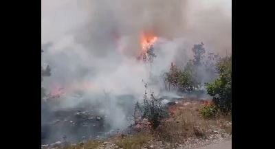 PROBLEME PRAVI JAK VJETAR Požar kod Bileće se ne smiruje, širi se prema Crnoj Gori