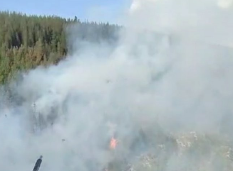UZAVRELA SITUACIJA Požar kod Ljubinja mogao bi ugroziti kuće, u pomoć stiže helikopter