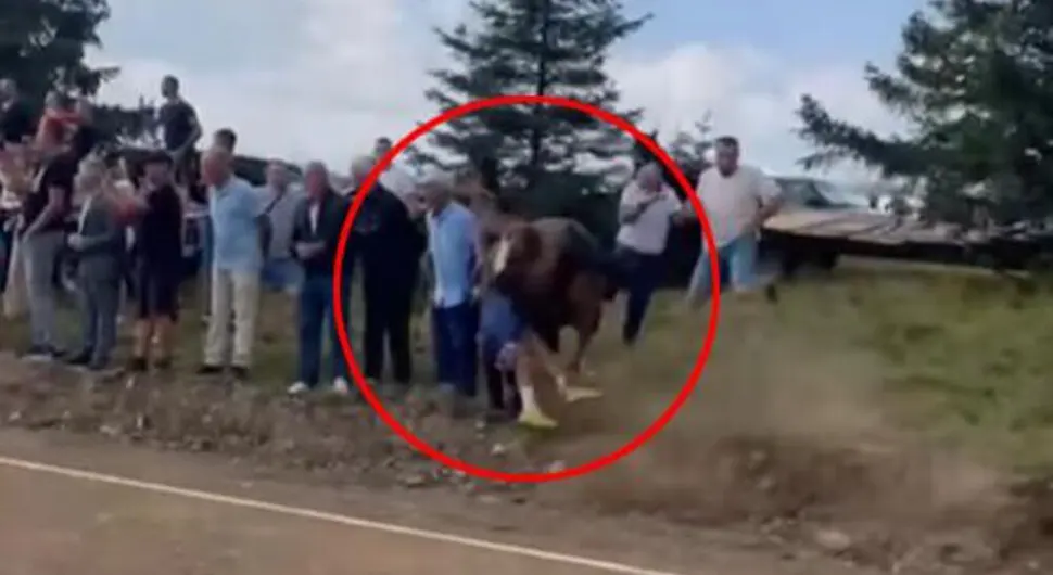 (UZNЕMIRUJUĆI SNIMAK) OBJAVLJEN JEZIV VIDEO Pogledajte trenutak kada pomahnitali konj ulijeće u publiku