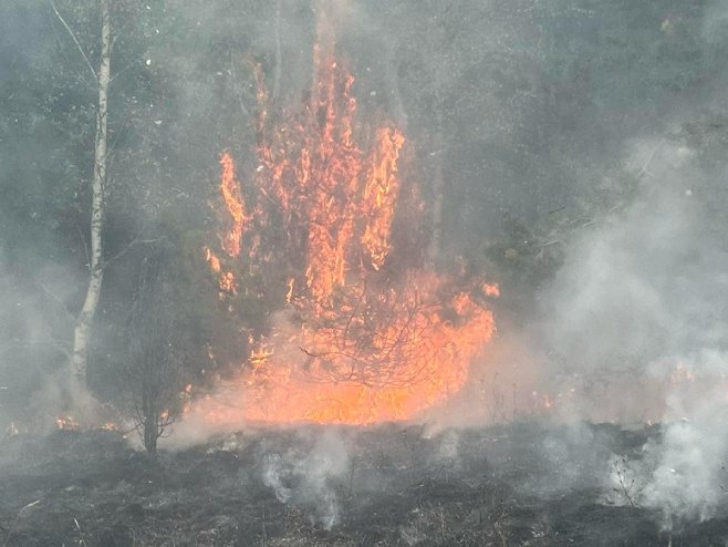 VATRA SE ŠIRI U NACIONALNOM PARKU "DRINA" Očekuje se pomoć Helikopterskog saveza