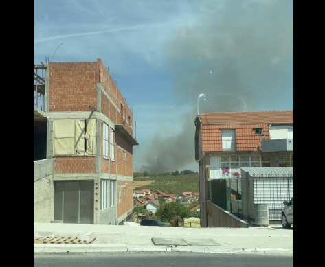(FOTO/VIDEO) SITUACIJA JE ALARMANTNA Požar se približio Institutu za nuklearne nauke: Gori nisko rastinje