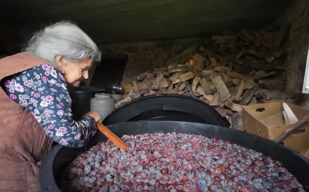 (VIDEO) STARICA IZ FOJNICE NEUMOLJIVO RADI I U DEVETOJ DECENIJI Baka Mare ubrala tonu šljiva, rakiju će podijeliti prijateljima