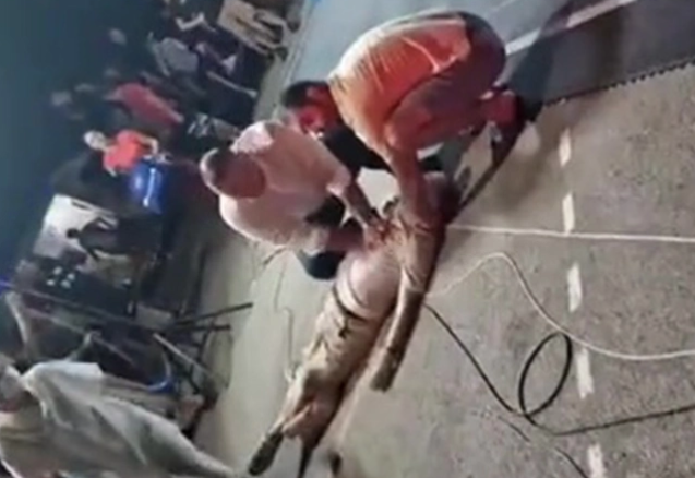 (VIDEO) BRZA REAKCIJA BANJALUČKOG DOKTORA Šobot spasio život čovjeku, objavljen snimak