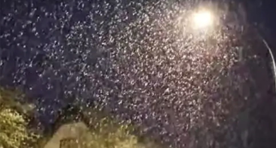 SITUACIJA U CENTRALNOJ EVROPI DRAMATIČNA U jednom dijelu kiša, u drugom dva metra snijega