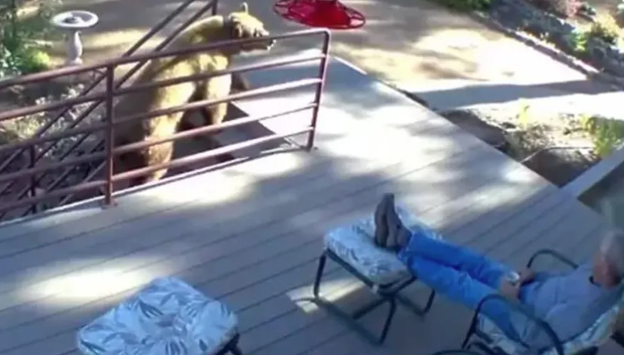 (VIDEO) NJEGOVA REAKCIJA JE HIT Muškarac odmarao ispred kuće kada je u dvorište ušetao medvjed