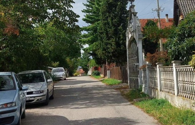 (FOTO) "LAVOVI VIŠE NISU U MODI" Sada na kapije stavljaju poseban "ukras", kuća samo što ne poleti