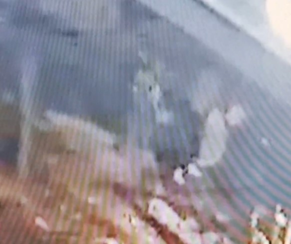 (VIDEO) LOPOVI OŠTETILI ĆIRILIČNI PARK Objavljen snimak krađe u Banjaluci