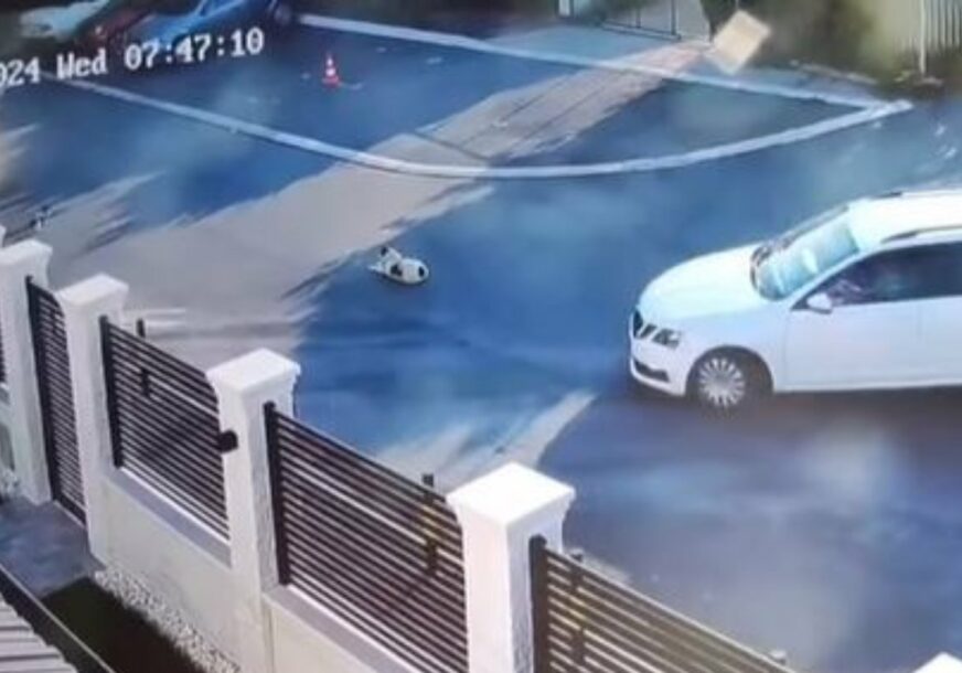 (UZNEMIRUJUĆI VIDEO) "TA BI I DJECU GAZILA“ Žena u Beogradu pregazila psa: Nastavila dalje dok ga je vukla po ulici