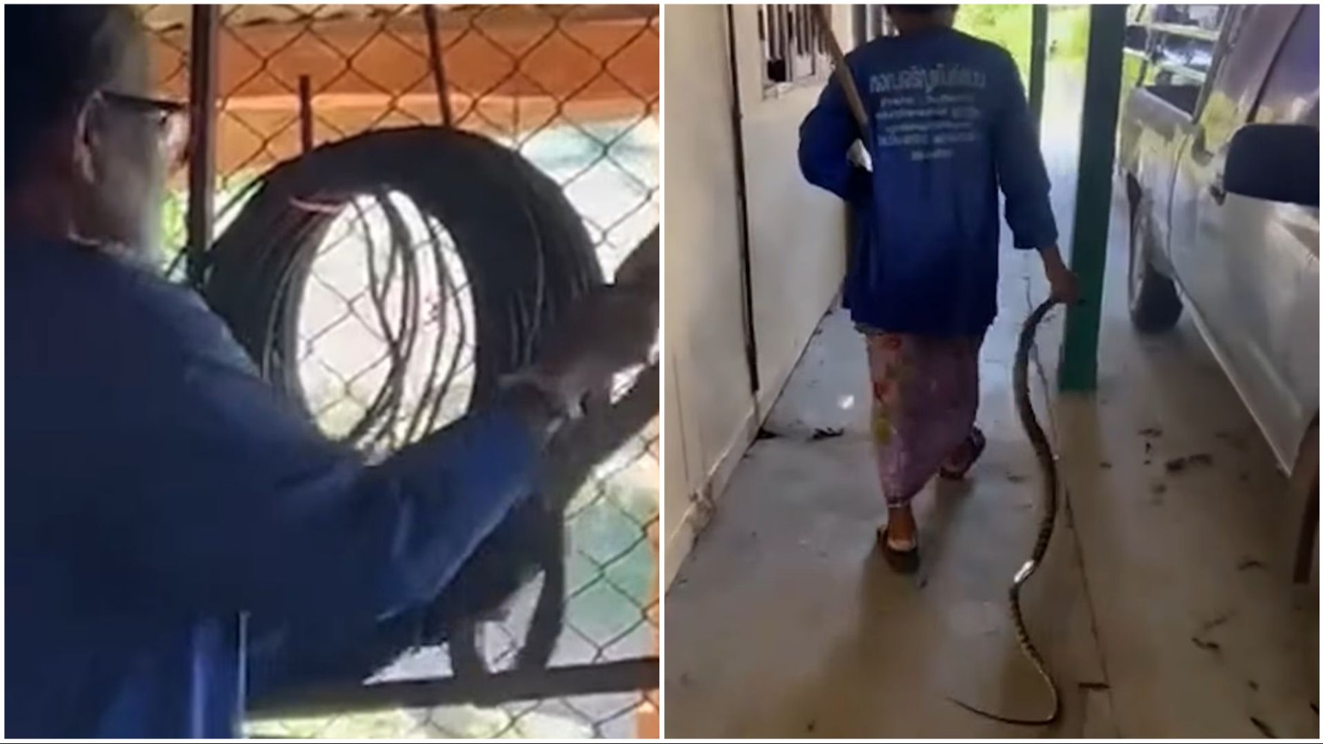 (VIDEO) REFLEKSI ZA SVAKU POHVALU Baki (85) zmija ušla u kuću: Odlučila joj pokazati ko je glavni