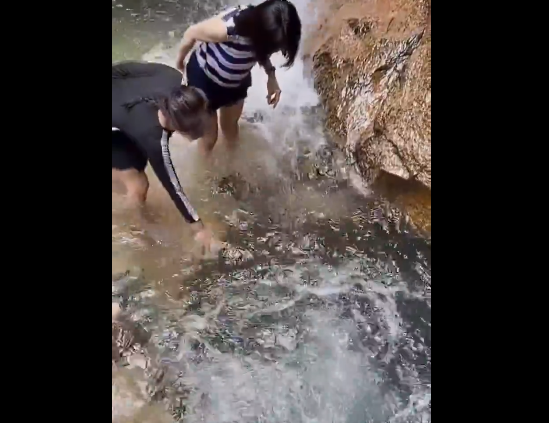 (VIDEO) SNIMAK LEDI KRV U ŽILAMA Čovjek skočio u bazen, pa nestao bez traga