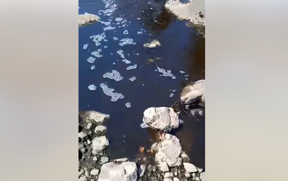 (VIDEO) "SMRDI NA ULJE, POJAVILA SE I PJENA" Dragočajka zamućena: Nestanak ribe uplašio mještane Zalužana