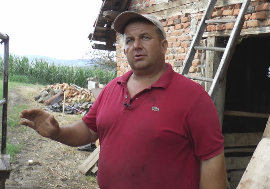 (FOTO) MAJSTOR BATA RADI "PEDIKIR I MANIKIR" KRAVAMA Opisao kako funkcioniše njegov posao, a ima i omliljenu klijenticu