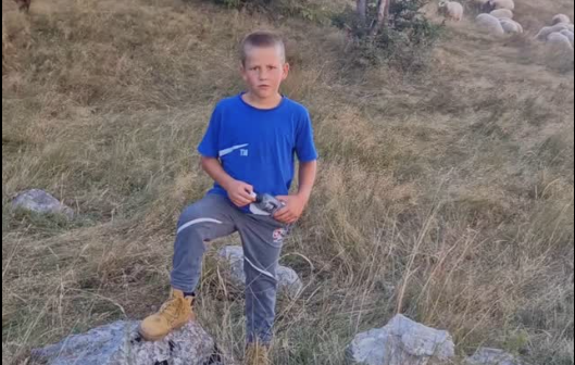 (VIDEO) LUKA ODUŠEVIO REGION I MNOGIMA OČITAO LEKCIJU Dječak iz okoline Bileće sam čuva 200 ovaca kako bi pomogao porodici